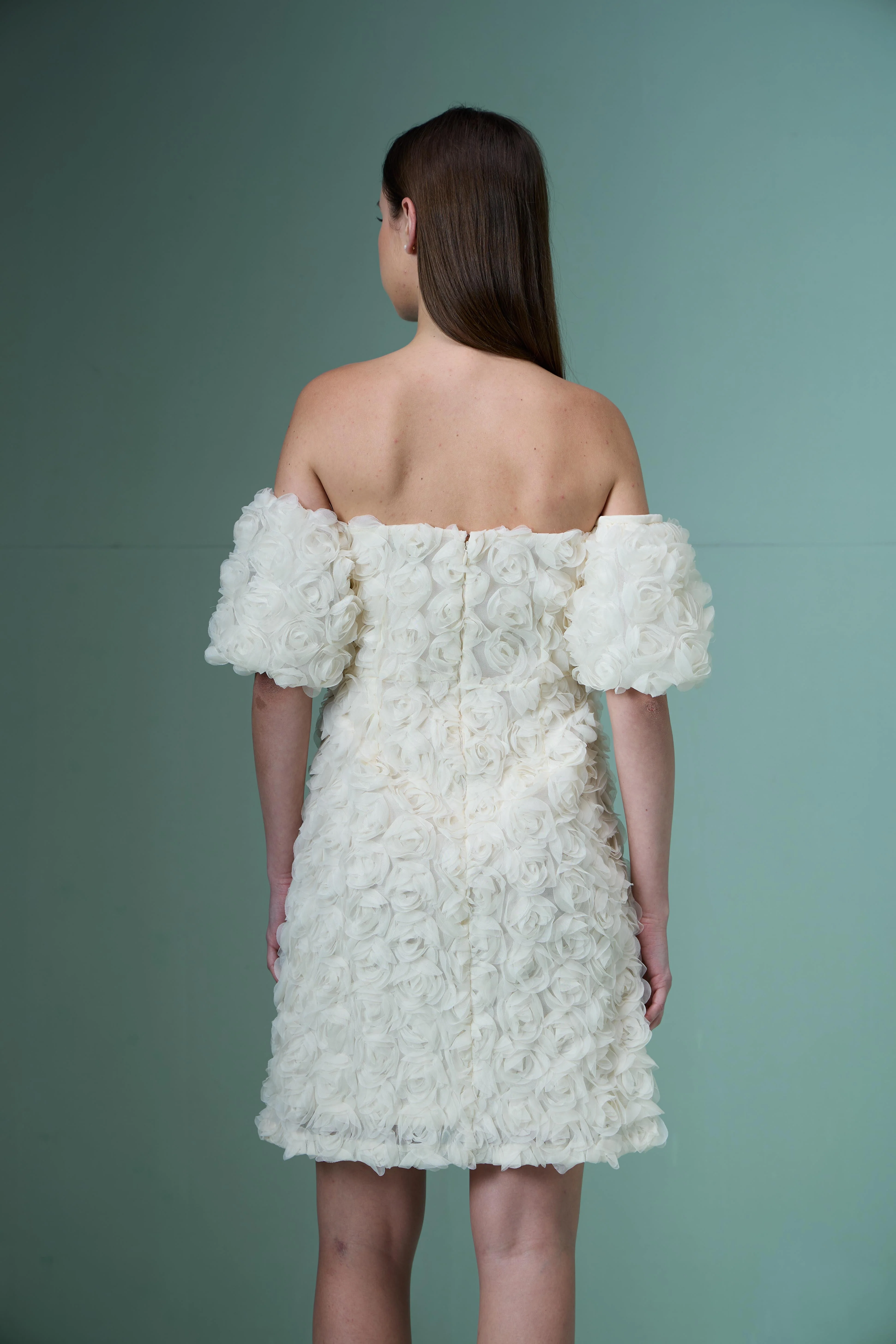 Marquee Ecru Rose Applique Dress - Image 10