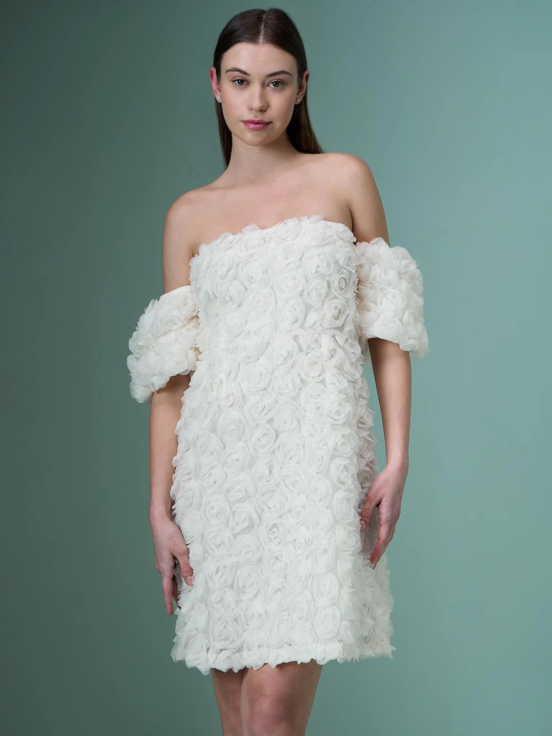 Marquee Ecru Rose Applique Dress - Image 2