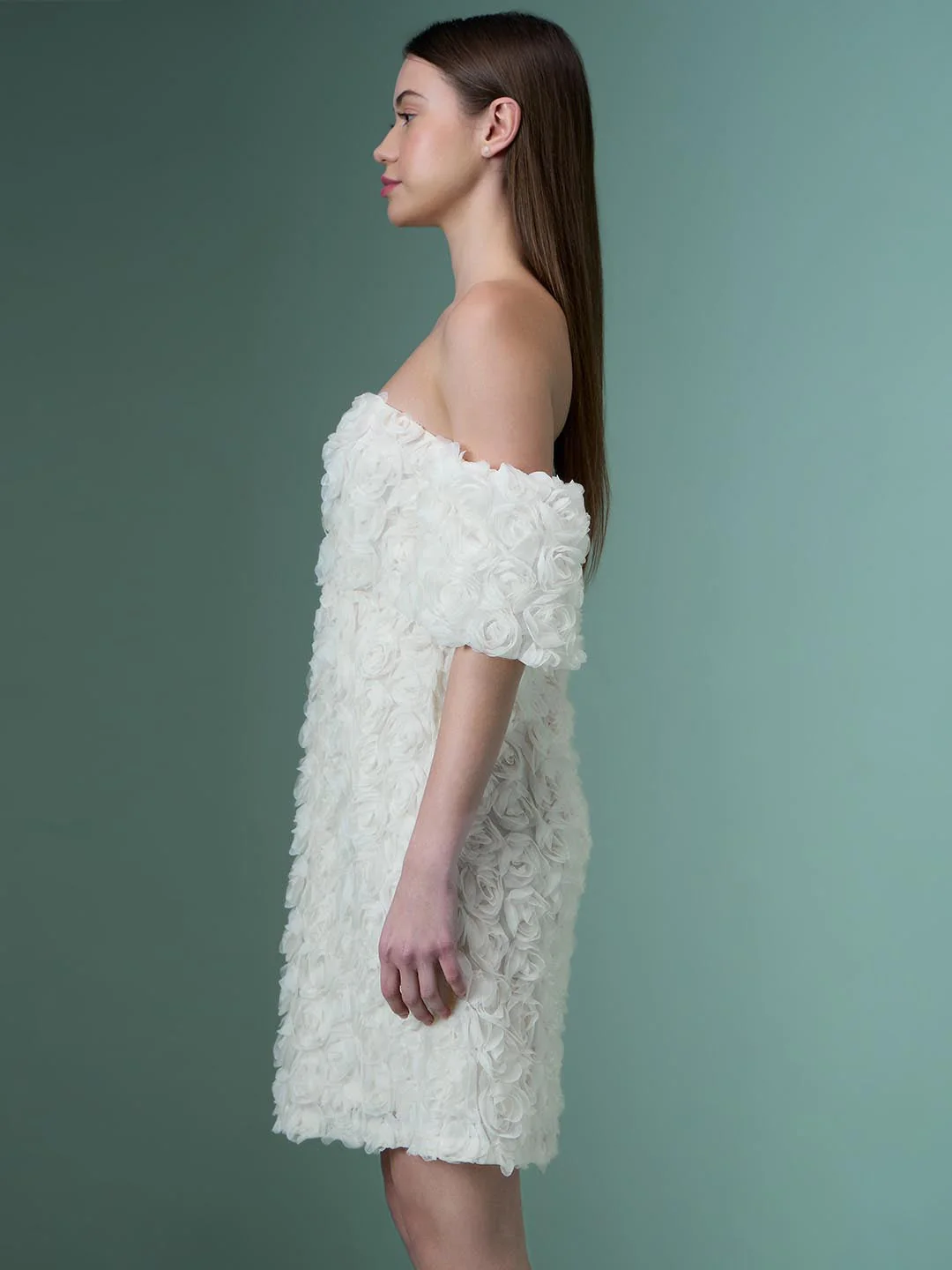 Marquee Ecru Rose Applique Dress - Image 3