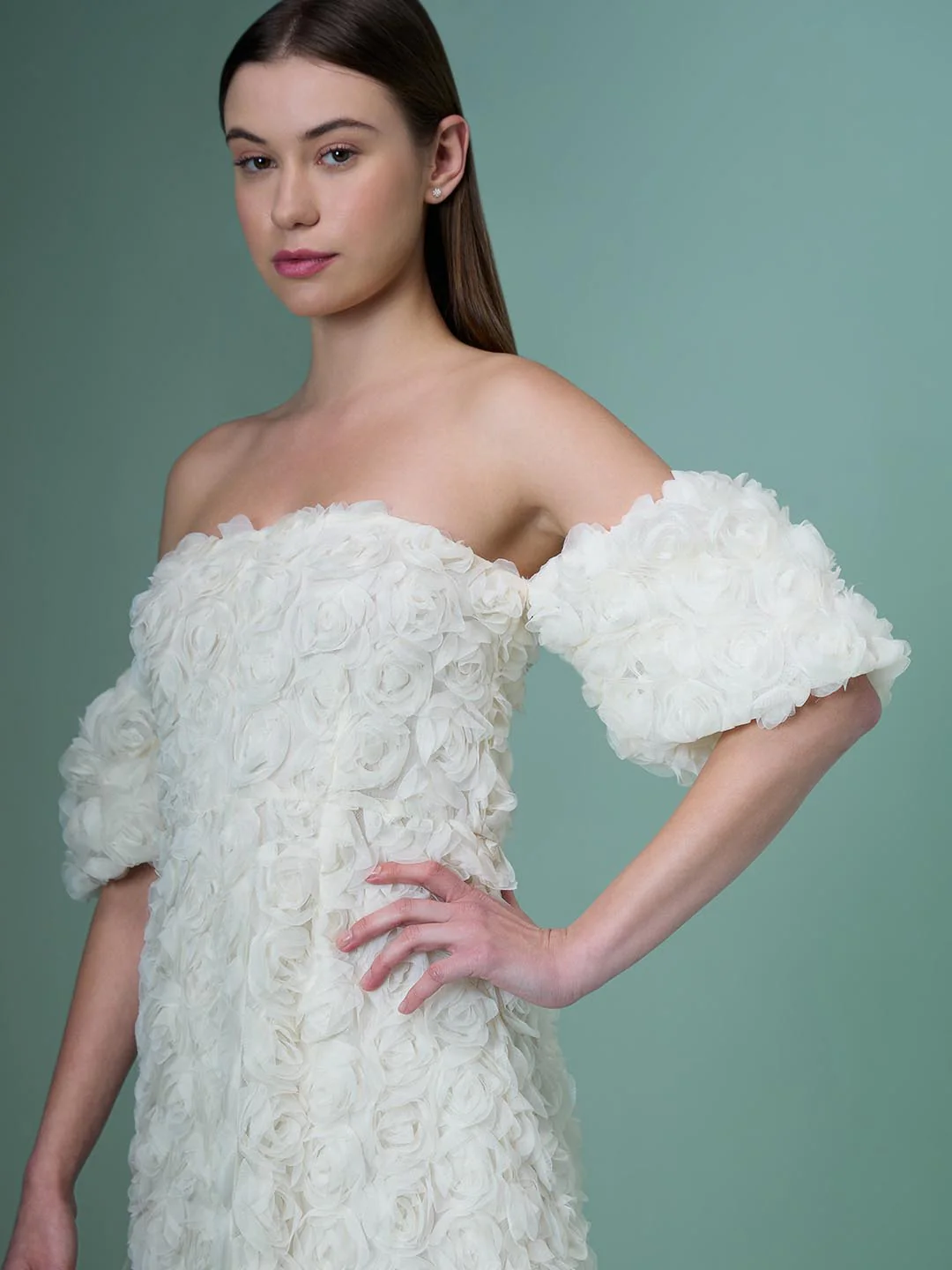 Marquee Ecru Rose Applique Dress - Image 6