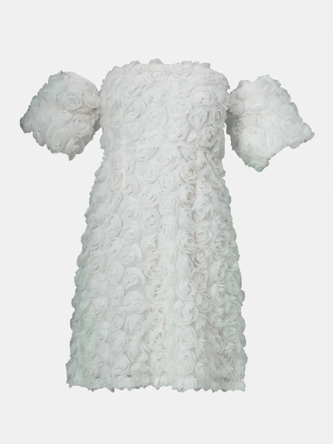 Marquee Ecru Rose Applique Dress - Image 7