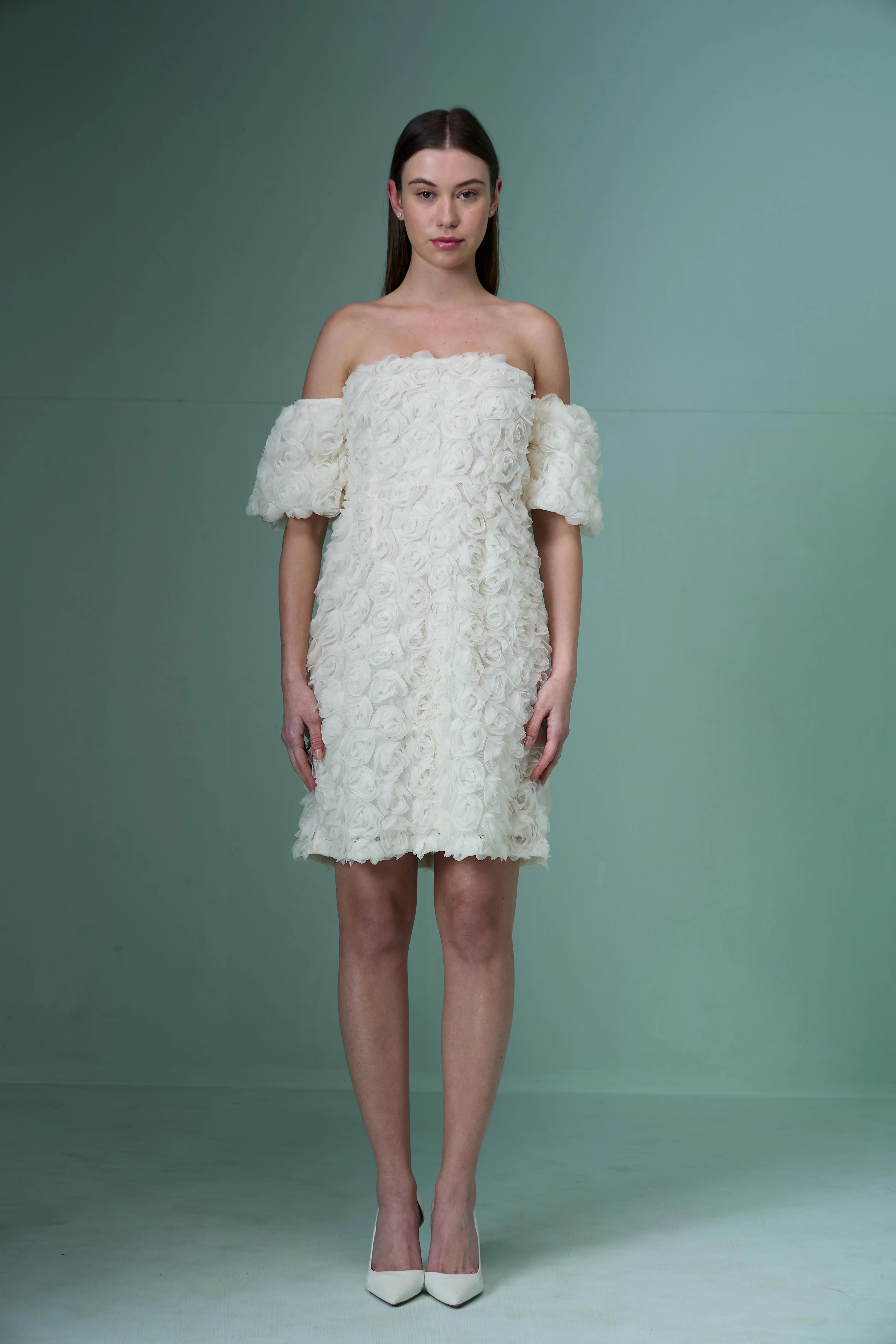Marquee Ecru Rose Applique Dress - Image 9