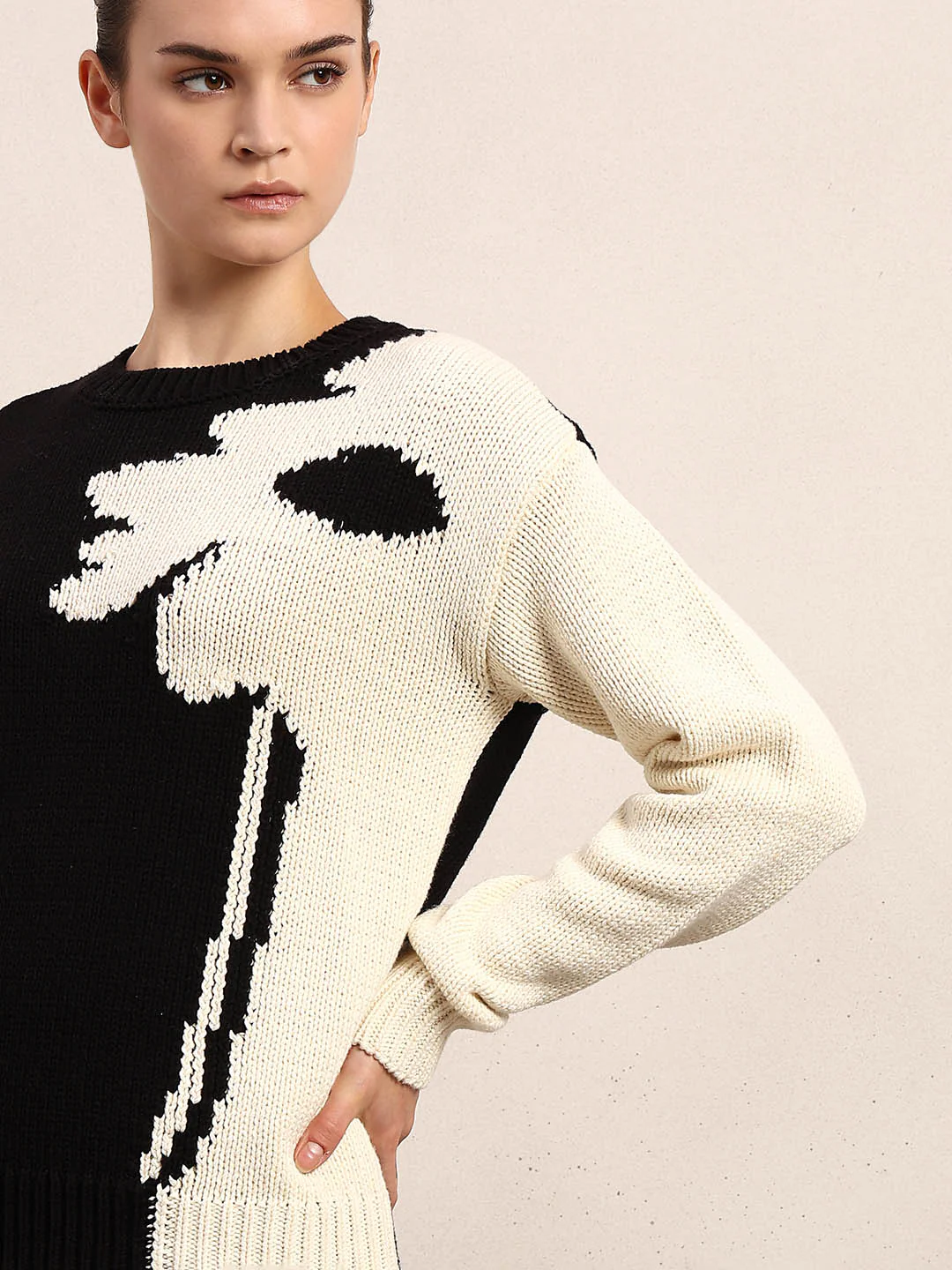 Dual Tone O-Neck Pullover - Black - Image 6