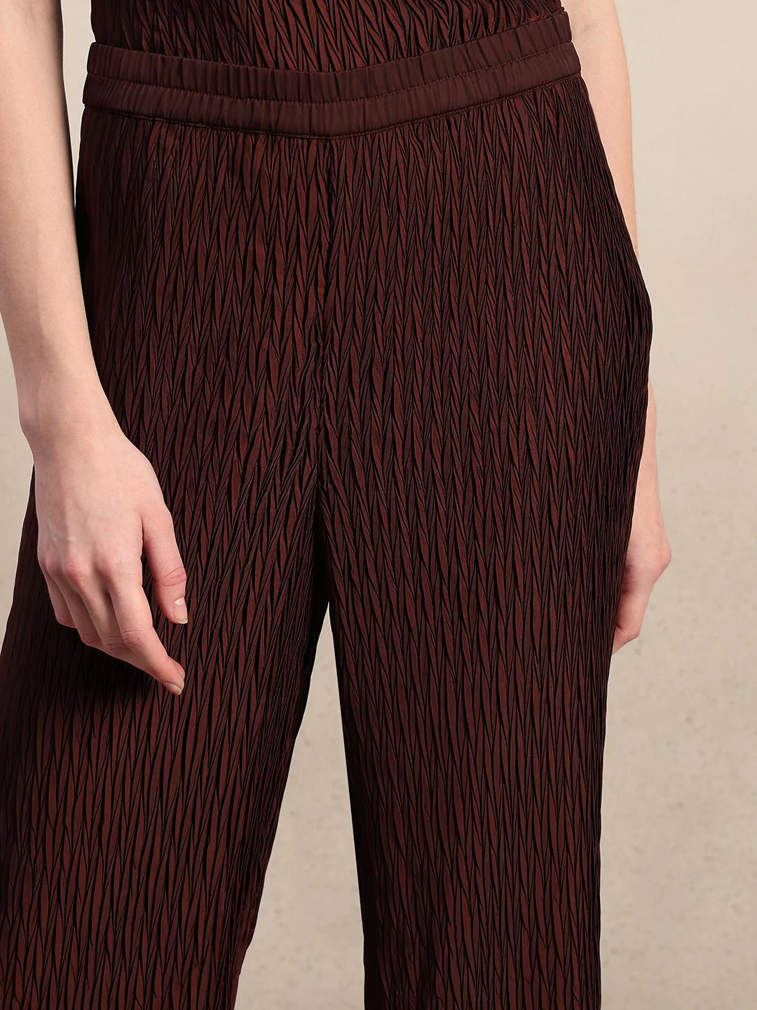 Maroon Textured Ankle Length Pants - Image 6