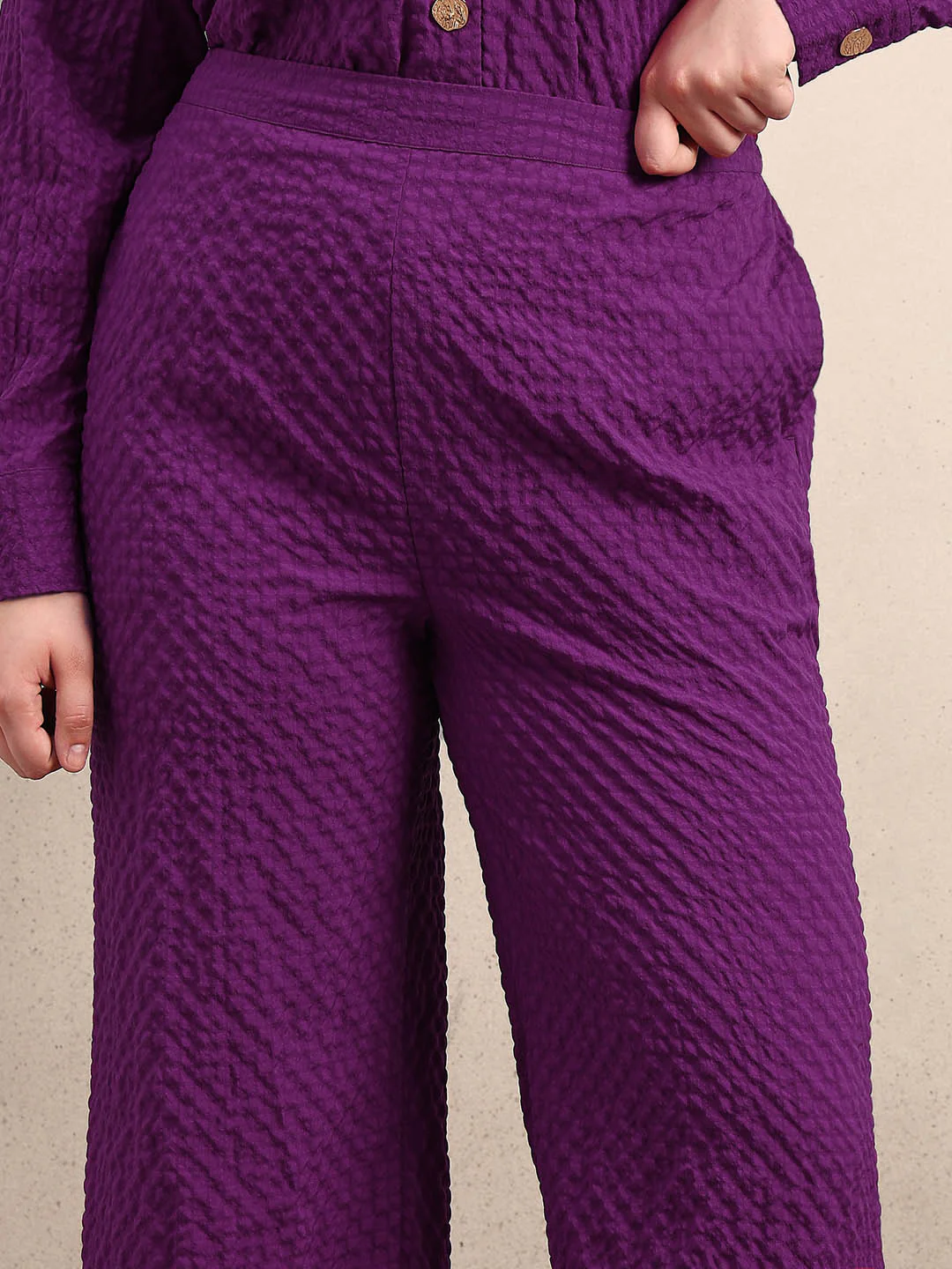 Curve Purple Textured Pants - Image 6